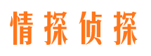 那曲出轨调查